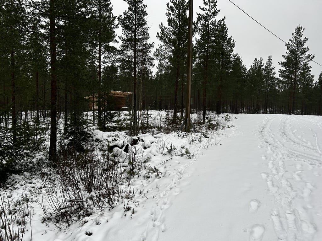 Laavu näkyy hyvin kuntoradalle.