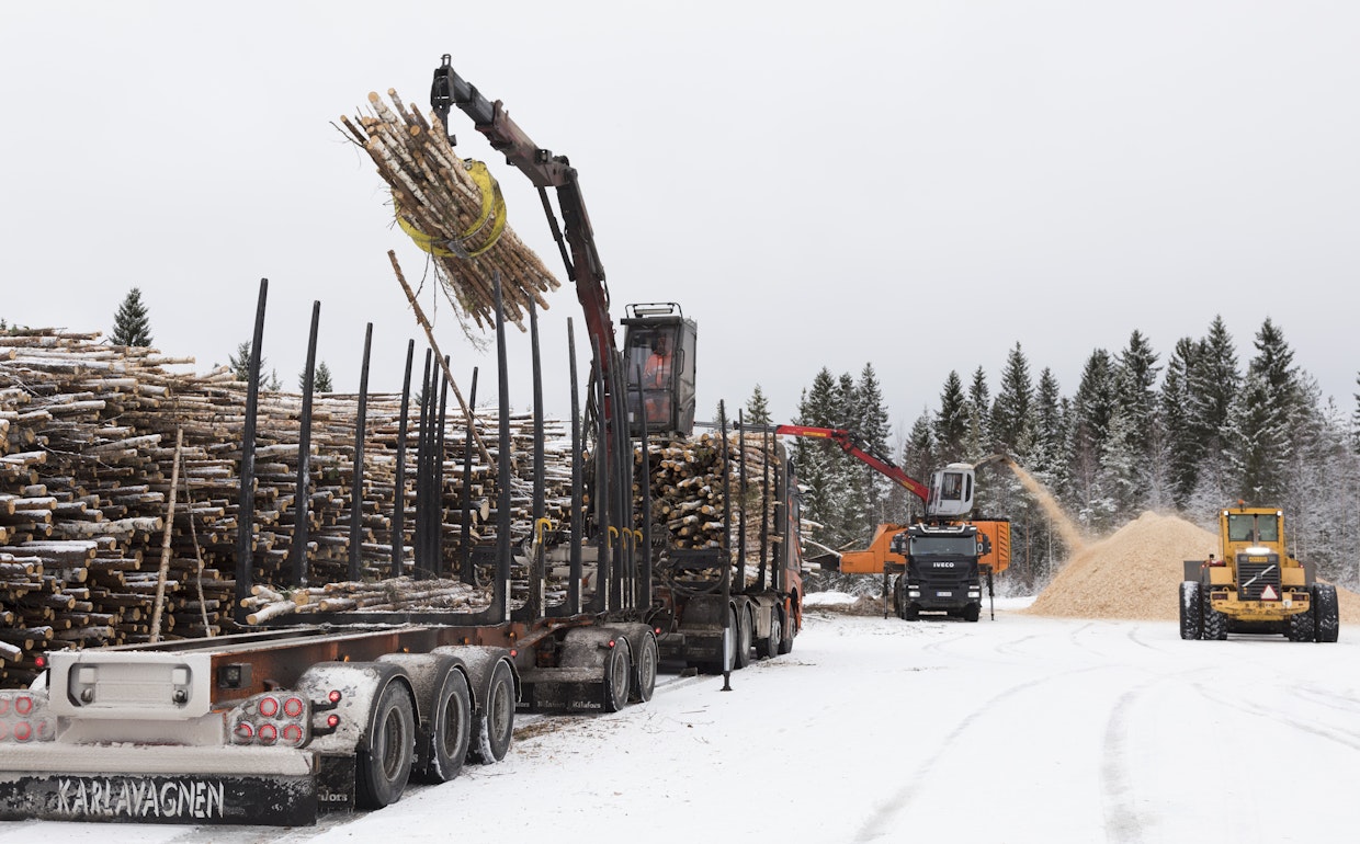 Energiapuun tarve vaihtelee talven kylmyyden mukaan.
