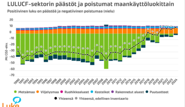 Luken uusin tarkistuslaskenta: Metsät ovatkin olleet koko ajan hiilinielu