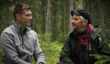 Humisevat hehtaarit nyt kaikkien katsottavissa - Osa dokumenttisarjasta on kuvattu Ylöjärvellä - Luonto ja eläimet