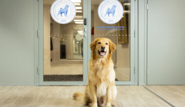 Haemme järjestökoordinaattoria Kennelliittoon | Suomen Kennelliitto