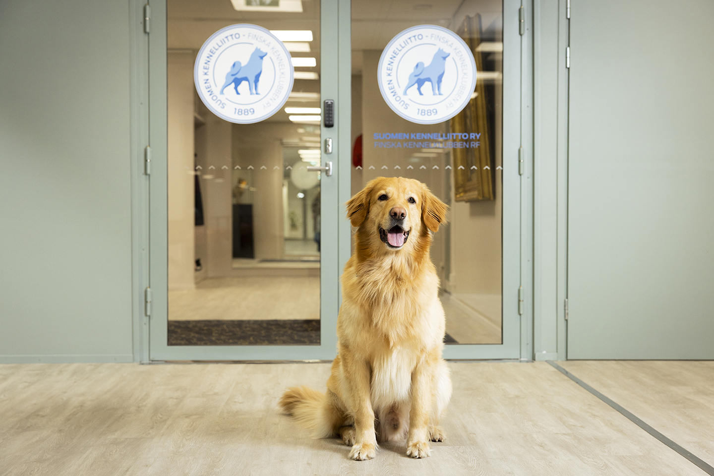Haemme järjestökoordinaattoria Kennelliittoon | Suomen Kennelliitto
