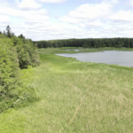 Porvarinlahden etelärannan luonnon- suojelualueelle hoito- ja käyttösuunnitelma