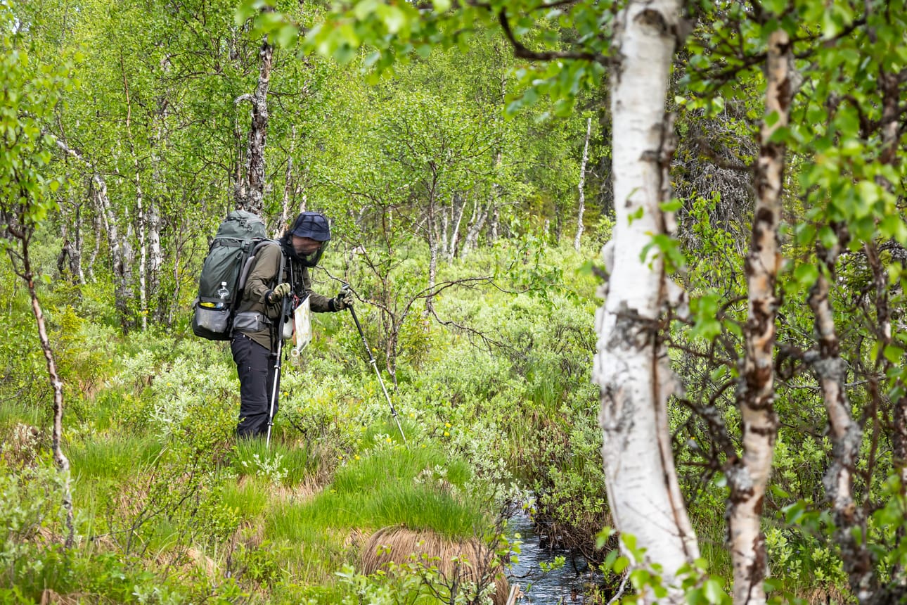 Saloriutan pitkä vaellus läpi luonnonmetsien noudatteli reitiltään Kullervo Kemppisen 50 vuotta sitten tekemään hiihtovaellusta saman alueen halki. Kemppinen kuvailee vaellusta kirjassaan Naskama – tarinaa ja tunnelmia talviselta maanselältä.
