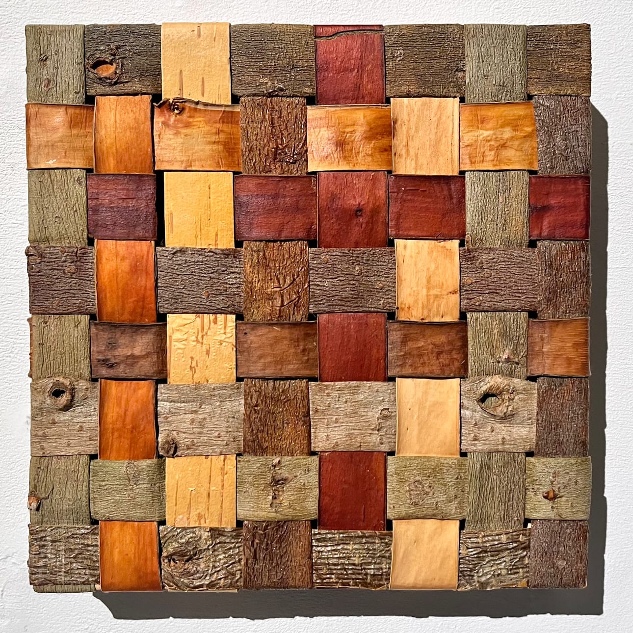 Osa Havainnoida, elää ja olla Mayumi Niiranen-Hisatomin teossarjasta Maisemani Kainuussa, 2025, tuomen, haavan, koivun, pajun, lepän ja korpipaatsaman kuoret kiilapuille.