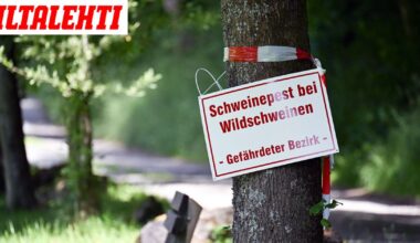 Tappava tartuntatauti leviää Euroopassa – Ruokavirasto: Suuri uhka