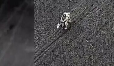 Venäläiset hyökkäsivät aaseilla - huonosti kävi