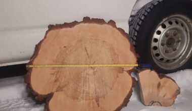 Metsä Group myönsi: luonnonmetsän puut menivät sellukattilaan