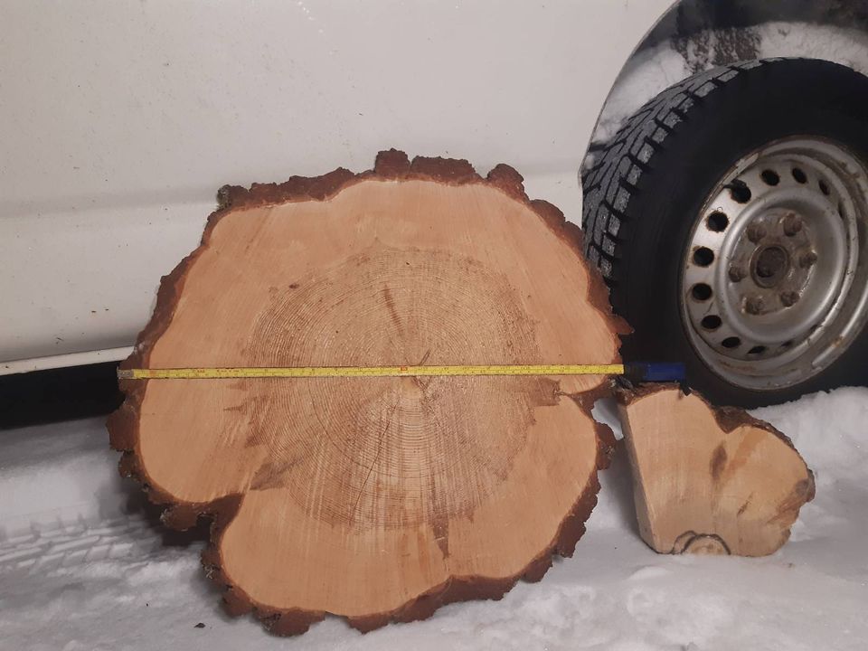 Metsä Group myönsi: luonnonmetsän puut menivät sellukattilaan