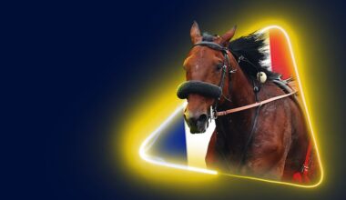 Veikkauksen ja ranskalaisen PMU:n yhteistyö jatkuu tulevinakin vuosina