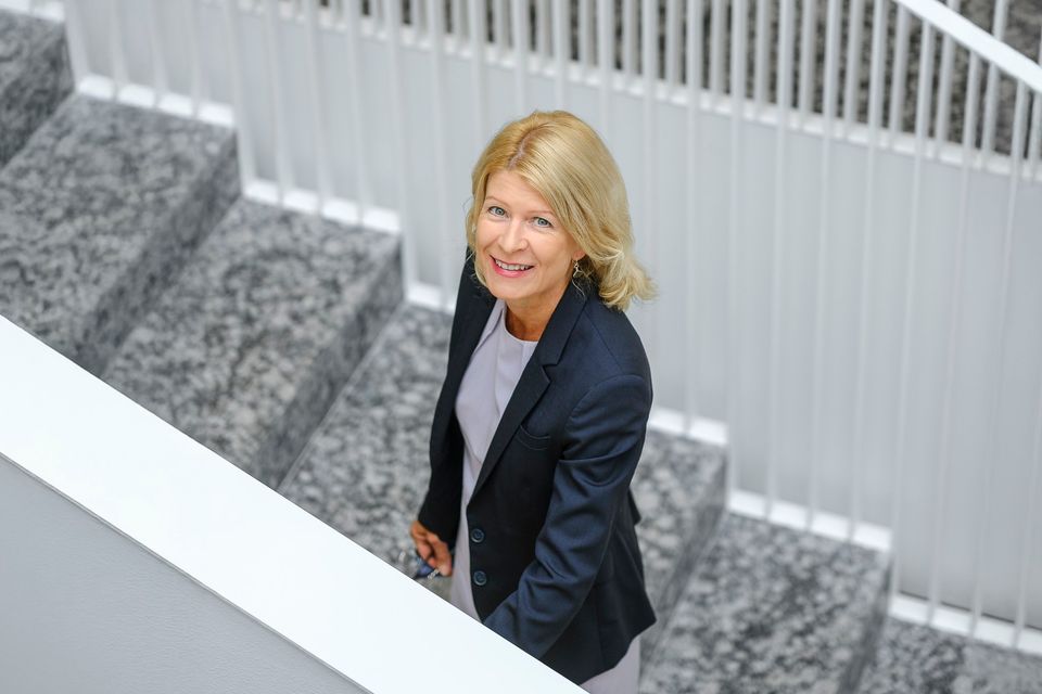 Kauppakamarikysely: Vientiyritysten odotukset tulevalle vuodelle myönteisimmät vuosiin – Saksan miljardiluokan investointien toivotaan vauhdittavan vientiä