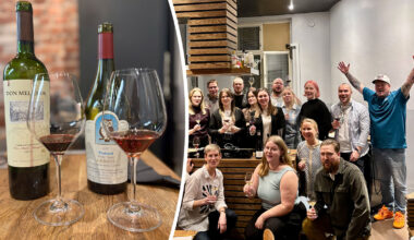 Tällainen oli maksuton oppimispäivä Viinimö 1