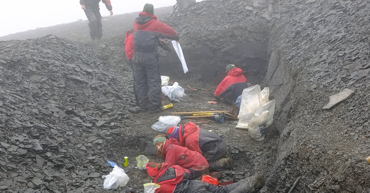 Syrjäinen saari säilytti 30 000 fossiilia, jotka valottavat historian suurinta luonnonmullistusta