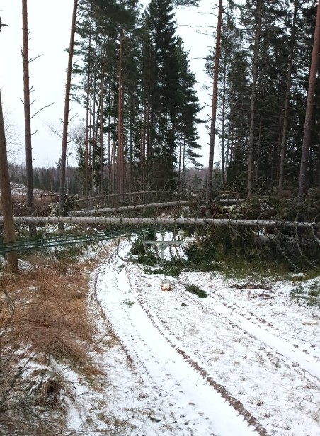 Tiistain aikana sähköt saatiin palautettua noin 1100:lle
