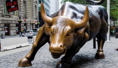 härkä härkämarkkina bull market Wall Street osakemarkkinat
