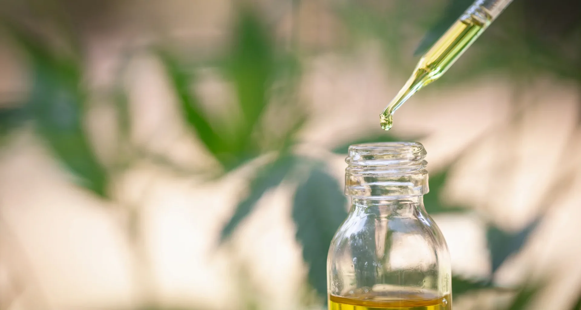 Kannabishoito pysäytti Alzheimer-potilaiden kognition heikentymisen uudessa tutkimuksessa