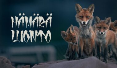 Telkku - Suomen suosituin TV-opas