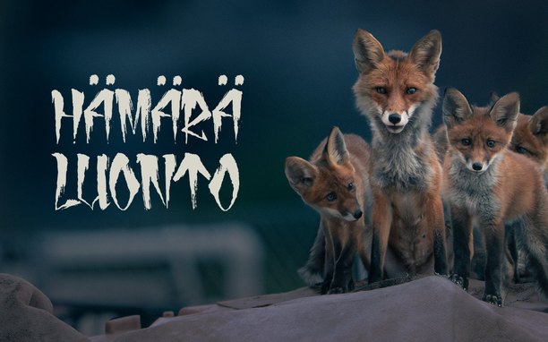 Telkku - Suomen suosituin TV-opas