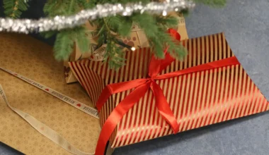 Toivon joululahjaksi kotikunnalleni ja sen asukkaille... – JS kysyi lahjatoiveista, valtuutetut vastasivat