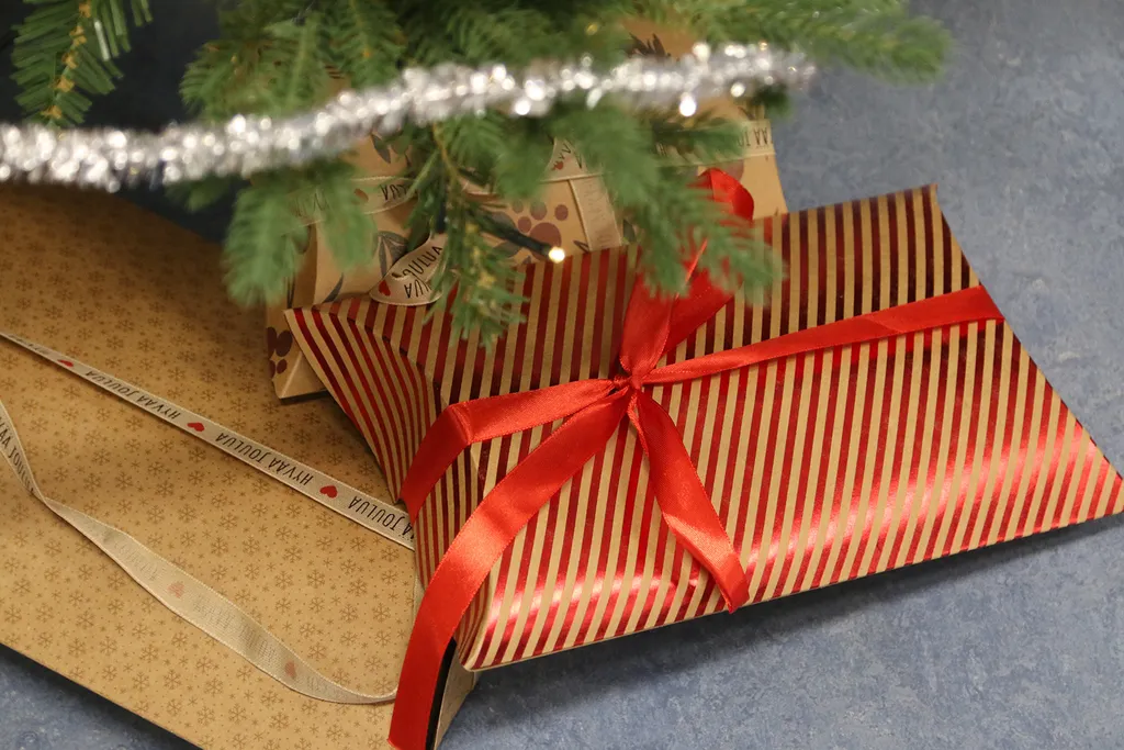 Toivon joululahjaksi kotikunnalleni ja sen asukkaille... – JS kysyi lahjatoiveista, valtuutetut vastasivat