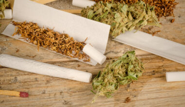 Satunnainenkin kannabiskokeilu voi sumentaa nuorelta tulevaisuuden suunnan, tutkimus paljastaa