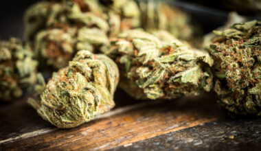 "Huuto-oksennusta" aiheuttava oireyhtymä ajaa kannabiksen käyttäjiä päivystykseen USA:ssa