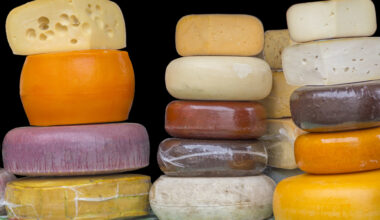 Rasvaiset juustot voivat vähentää dementiariskiä, ilahduttava tutkimus paljasti