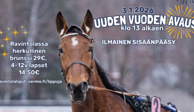 Uuden Vuoden Avaus ja brunssi la 3.1. klo 13