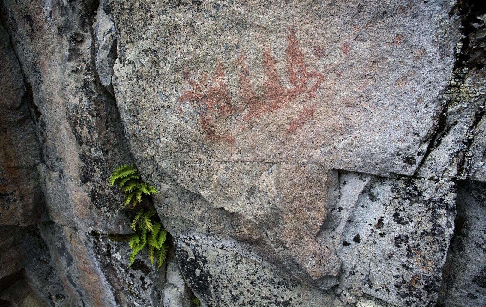 Miksi kalliomaalaukset tehtiin? Tutkija löysi uuden selityksen