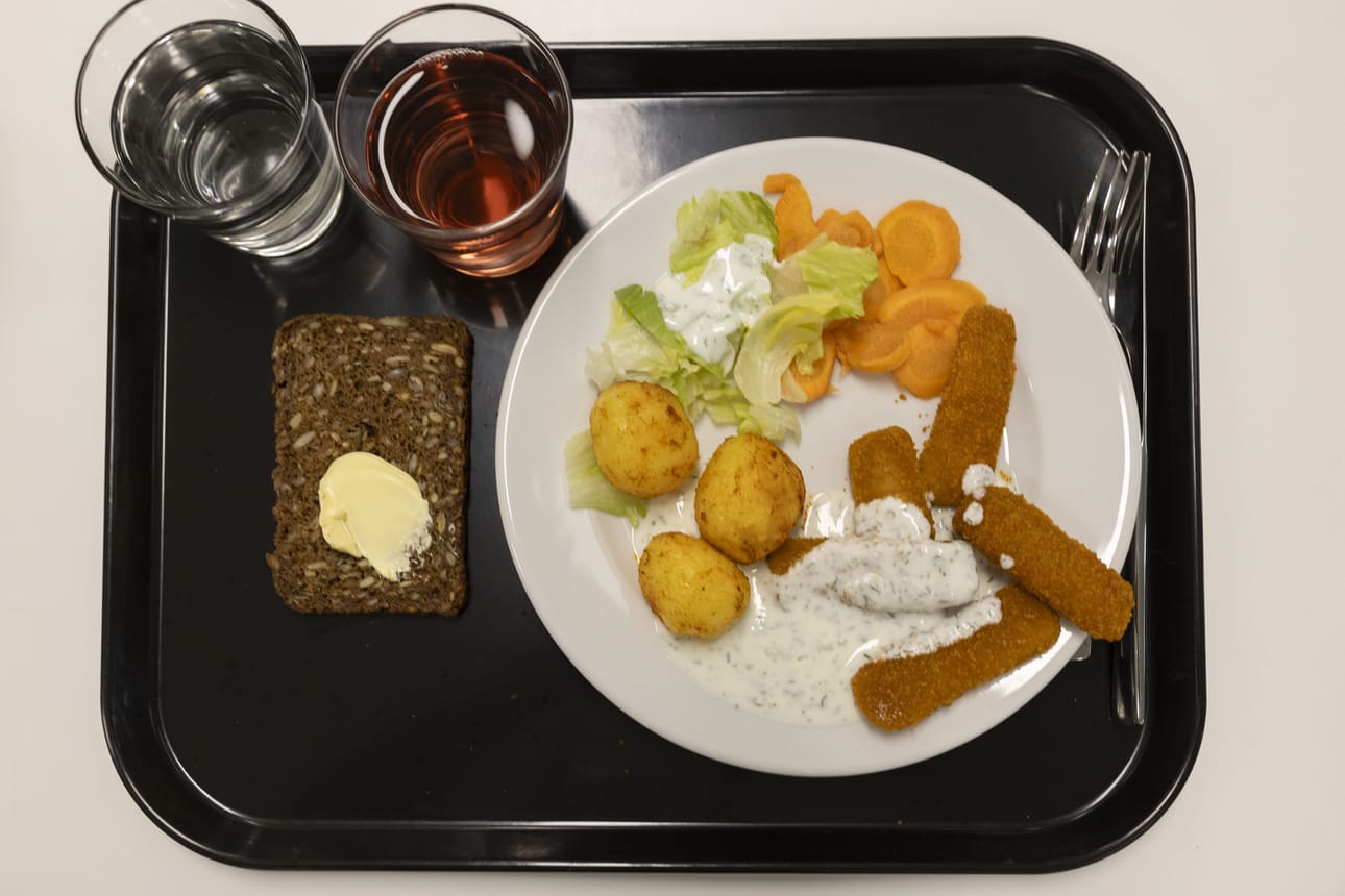 Kela on antanut suositukset opiskelijoiden ruuille. Suosituksessa on määritelty muun muassa ravintosisältö, eri ateriavaihtoehtojen määrä ja pääruokien vaihteluväli.