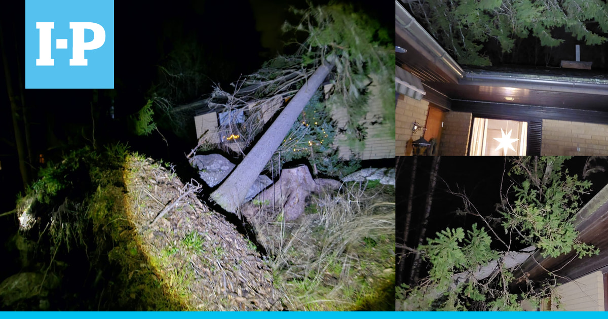 Eeva-Liisa Norrgård kuuli kauhean tömähdyksen, kun puu kaatui talon päälle – "Koko talo on juuri uusittu"