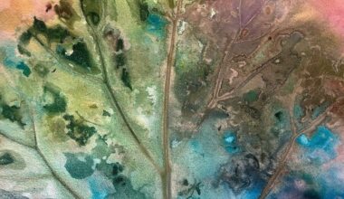 Loimaan työväenopiston kevätkausi alkaa ke 7.1.2026