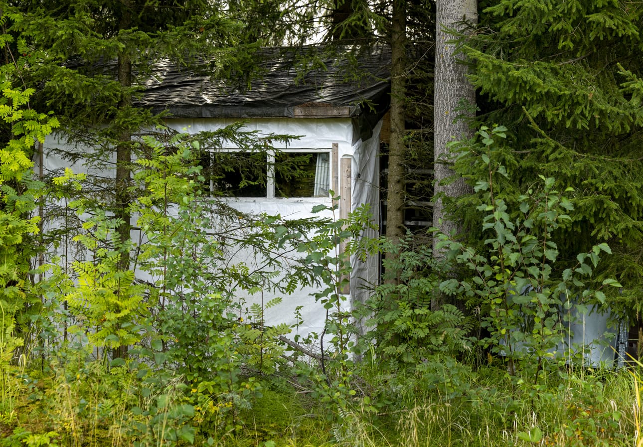 Huvilan omistajan mielenosoitusleiri on kuusikon keskellä Antellinpuistoon päin.