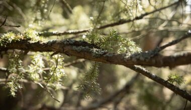 Ensimmäiset erä- ja luonto-oppaat valmistuvat Saskysta