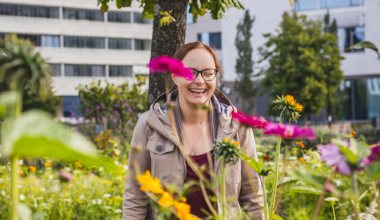 Jokaisessa Suomen maakunnassa on villiinnytetty lähiympäristöä – katso oman maakuntasi tilanne – WWF Suomi