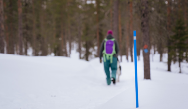 Retkeilijän kannattaa tutustua lumivyörytietouteen viimeistään nyt - Ajankohtaista