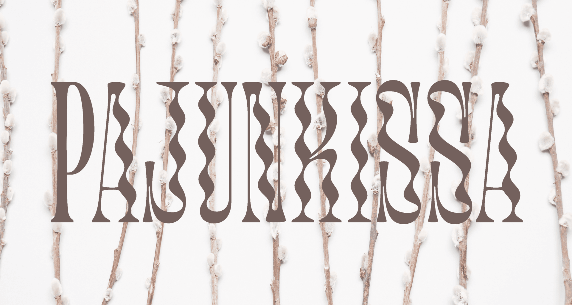 5. Demokratia tulee laajenemaan - Voima