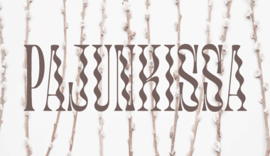 5. Demokratia tulee laajenemaan - Voima