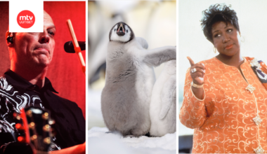 Millainen on Rajattoman joulu?