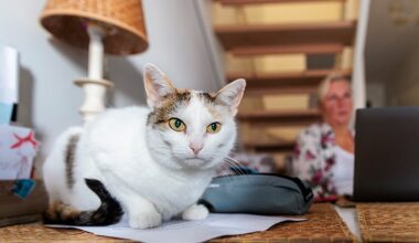 Kymmenen vinkkiä työnhakuun ‒ näin pääset kiinni työn syrjään