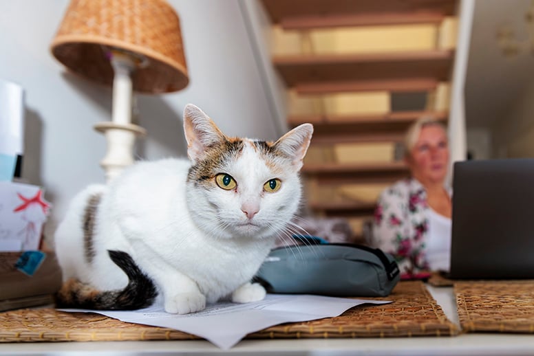 Kymmenen vinkkiä työnhakuun ‒ näin pääset kiinni työn syrjään