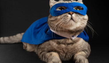 IL: Sankarikissa Kapun outo käytös pelasti ihmishengen