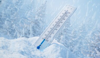 Kaupoissa puutetta voista ja vihanneksista, mutta vodkaa on hyllyt väärällään – venäläiset kertovat ahdingostaan talven edessä