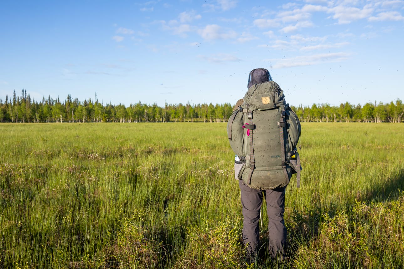 Metsä-Lapissa on myös soita ja niillä melko varmasti myös hyttysiä.