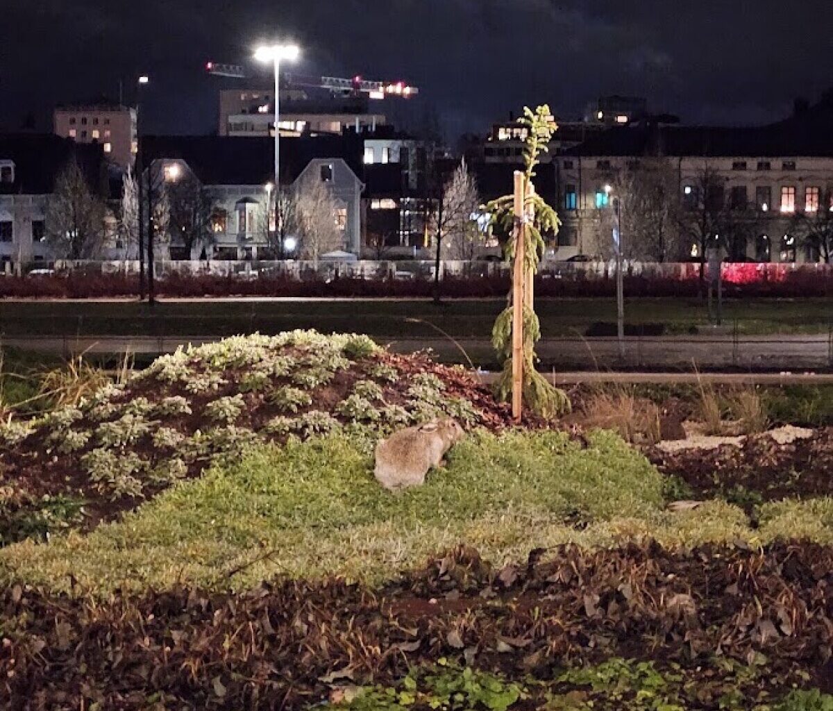 Ensin kuhmolaistaiteilijan teos tuli tallotuksi, nyt se uhkaa päätyä parempiin suihin – ”Kaikkeen saa varautua”
