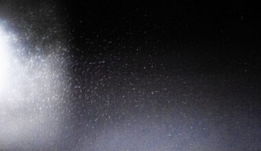 Kovat tuulet saivat hiukkaset liikkeelle Ykspihlajassa – Ilmanlaatu on heikentynyt