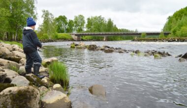 Viannankosken kalastuskohde suljetaan Kuopion Maaningalla