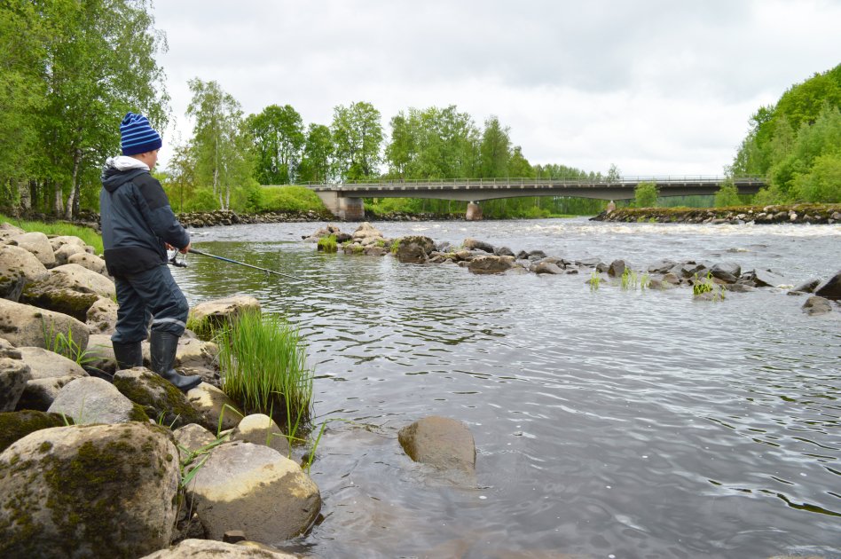 Viannankosken kalastuskohde suljetaan Kuopion Maaningalla