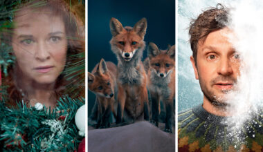 5 hehkutettua sarjaa – katso jouluna ilmaiseksi Yle Areenasta!