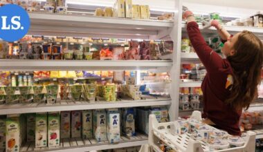 Yli tuhat kesätyöpaikkaa on nyt auki – Mikkelin seudun isot työllistäjät avasivat haut | Paikalliset